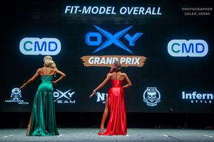 FIT-MODEL OVERALL
